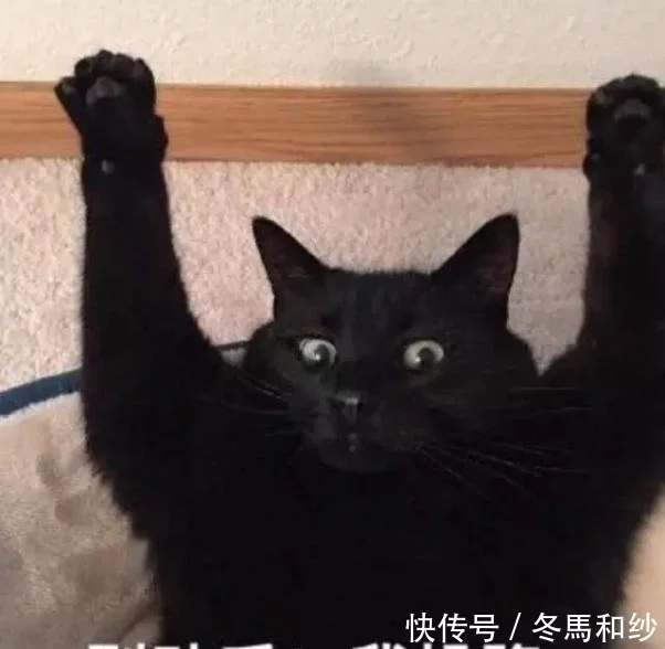 5.webp.jpg