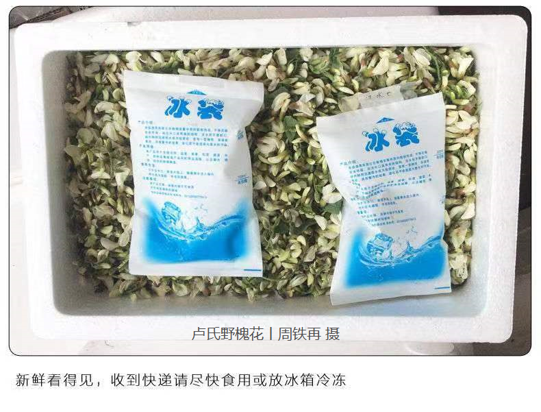 微信图片_202205031233301.png