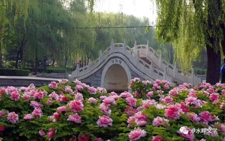 微信图片_20230409082724.jpg